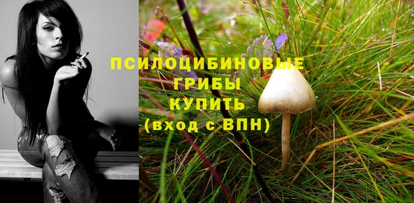 MESCALINE Шарыпово