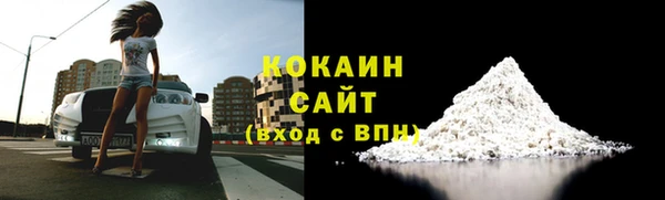 спиды Шали